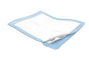 Simplicity Basic Light Absorbency Underpads 23x36 (TenderSorb)